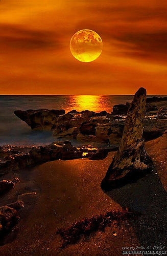 http://images4.ravelrycache.com/uploads/AmaYaga/183488356/0a18b1d5579c19b7a83f9ac33eb7d4eb_medium.jpg