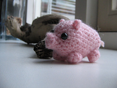 IMG_3125_small.JPG