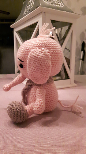 20160126_181633_medium.jpg