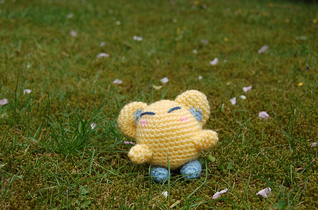 DSC_0197_medium2.JPG