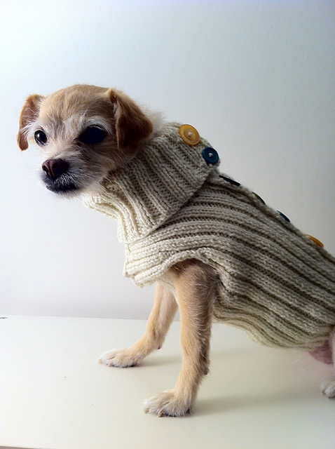 Dog Model 2