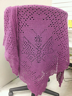 487129_10151163145757549_1784771301_n_small2