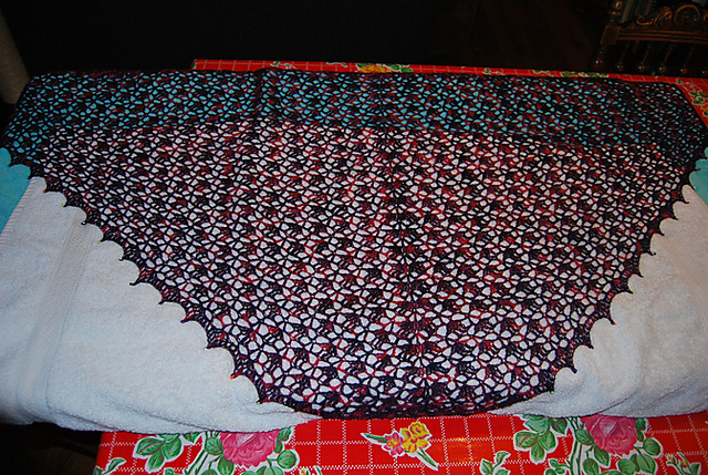 20120115Eliseshawlblocking_medium2.jpg