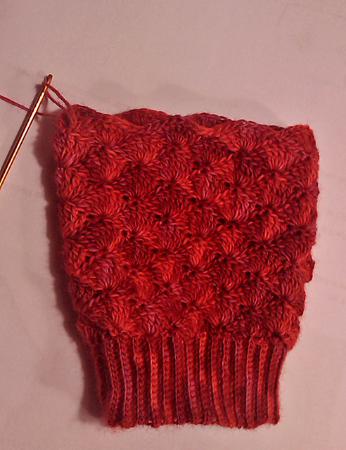 20120120beginnetje_medium2.jpg