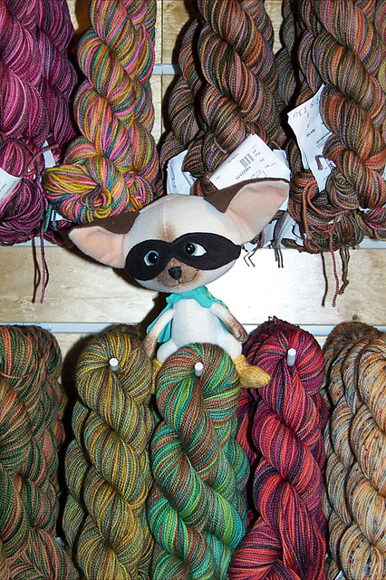 SJ & the Koigu