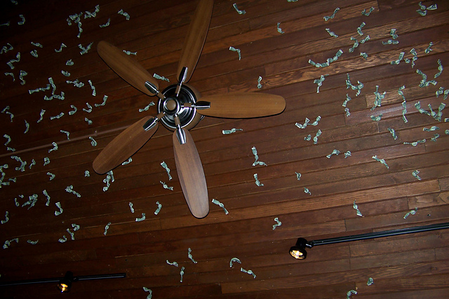 Money...on the Ceiling!