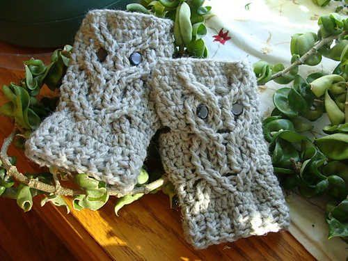 Owl Mits